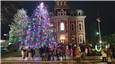 2024 Tree lightning