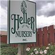 heller-nursery-2018.jpg