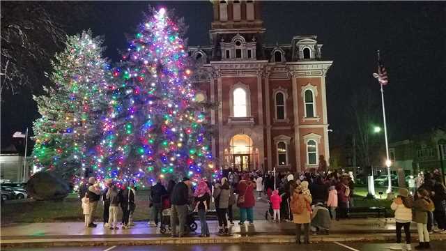 2024 Tree lightning