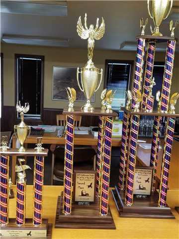 Band Trophy's